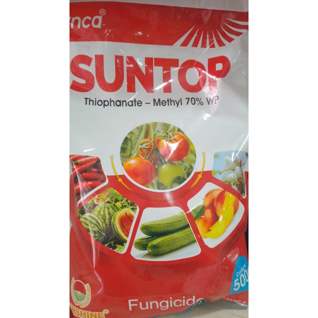 SunTop 500g