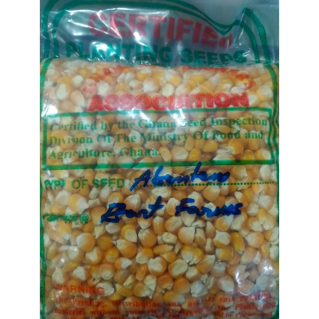 Abontem Maize