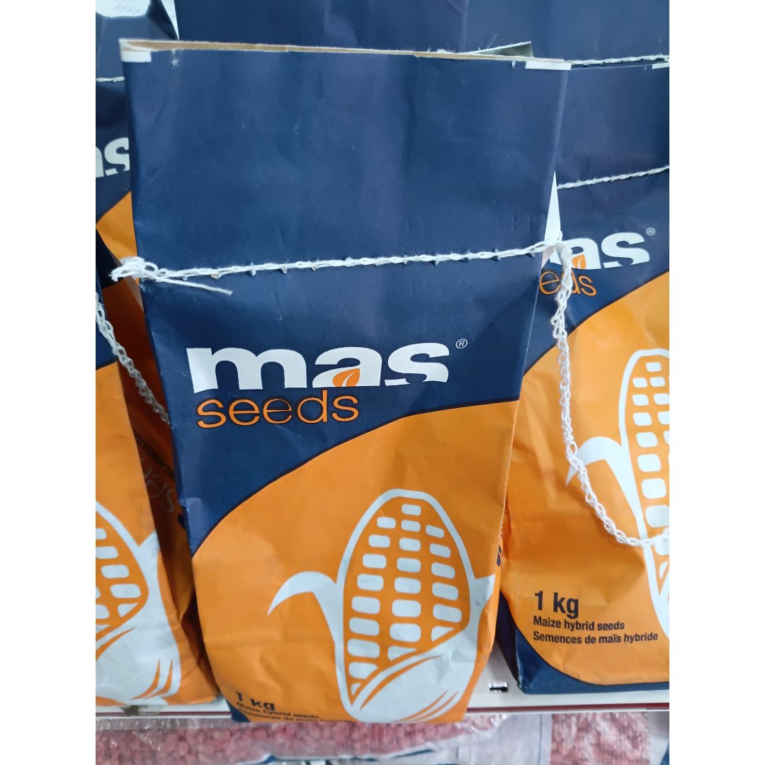 Mas seeds